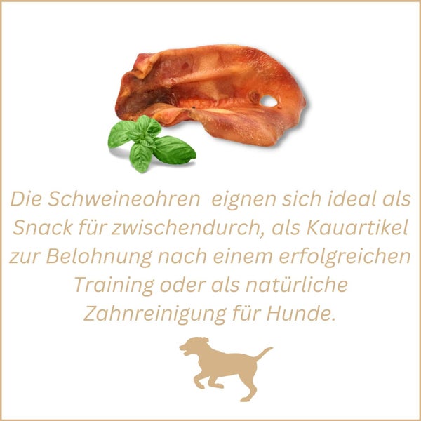 Schweineohr-Snack für Hunde mit Basilikumblättern