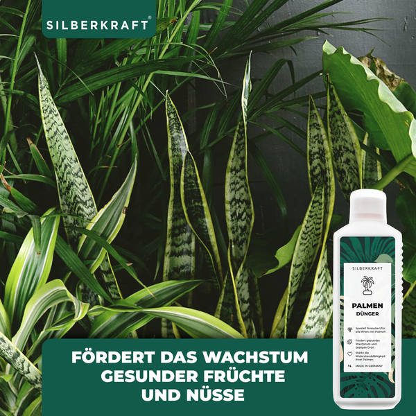 SILBERKRAFT Palmen Bio-Dünger – 1 Liter