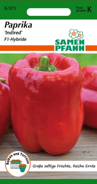 Paprika Indired F1-Hybride Samenpackung von Samen Pfann