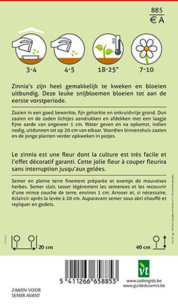 Informationen zur Aussaat von Zinnien