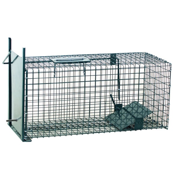 Safe 5001 Lebendfalle 23x23x60cm 1 Eingang