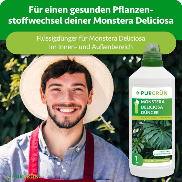 Purgrün Flüssigdünger für Monstera Deliciosa in einer ein Liter Flasche mit einem Gärtner vor einem hellen Hintergrund aus grünen Blättern.