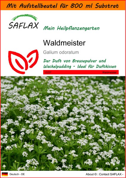 SAFLAX Garden in the bag - Waldmeister - Galium odoratum - 20 Samen - Mit Anzuchtsubstrat im praktischen, selbst aufstellenden Beutel