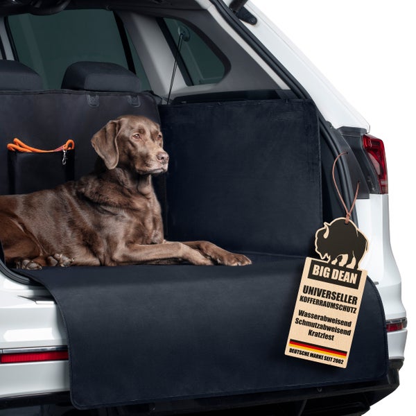 Kofferraumschutzdecke mit braunem Labradorhund im Kofferraum eines Autos