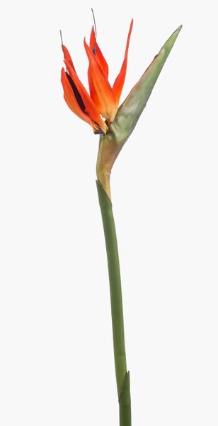Künstliche Strelitzie MELIORN, orange-violett, 85cm - Kunst Strelitzie