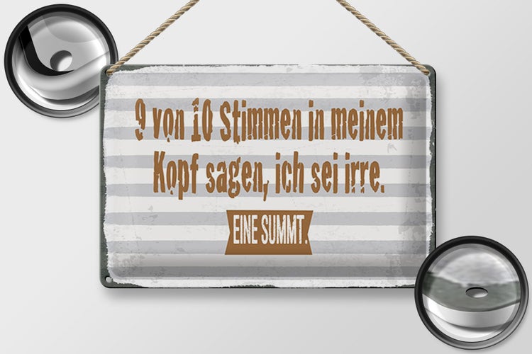 Blechschild Spruch 30x20cm 9 von 10 Stimmen in meinem Kopf