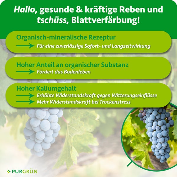 Infografik zum Purgrün Rebendünger mit Vorteilen zur Pflanzenstärkung und Bodenpflege für gesunde Weinreben.