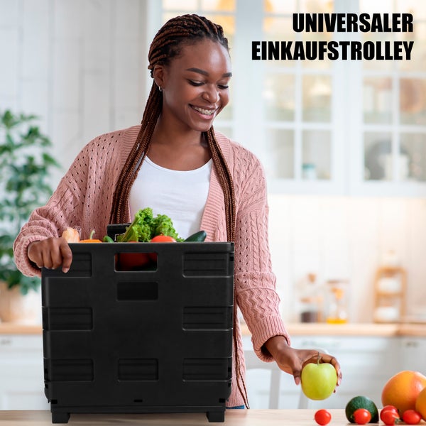 BigDean Einkaufstrolley klappbar belastbar bis 35kg – Einkaufswagen mit Teleskopgriff