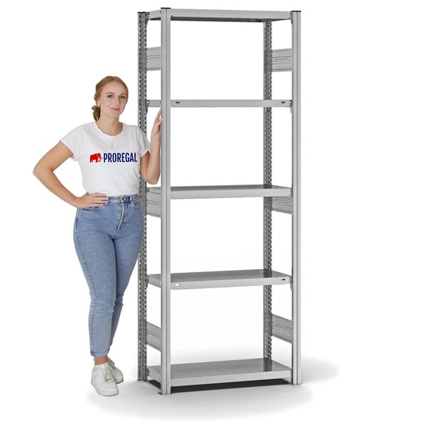 PROREGAL Fachbodenregal Stecksystem T-Profil Heavy-Duty Grundregal HxBxT 200 x 75 x 30 cm 5 Ebenen Fachlast 300 kg Beidseitig Nutzbar Lichtgrau