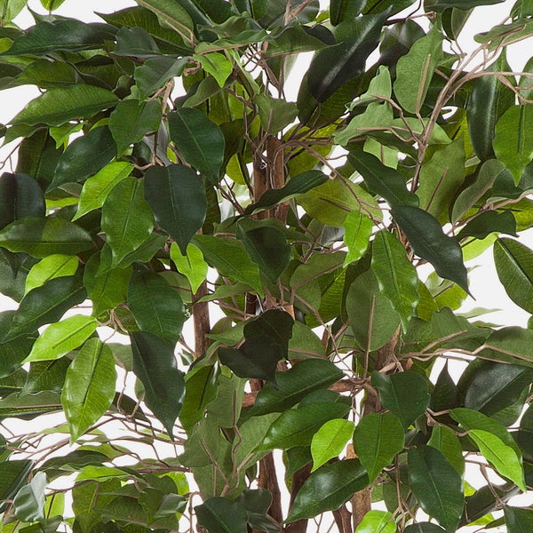 Detailaufnahme einer künstlichen Ficus Benjamini Pflanze mit dichten grünen Blättern und braunen Zweigen.