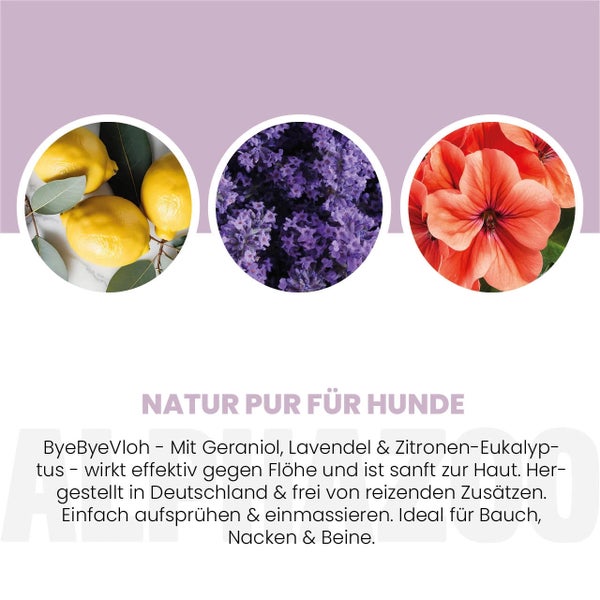 alphazoo ByeByeVloh Flohspray Hunde 250ml