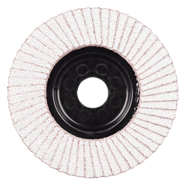 RHODIUS Fächerscheibe LGA ALU, 5 Stück, 125 x 22,23 mm, Korn 40, für NE-Metalle, Holz, TOPline