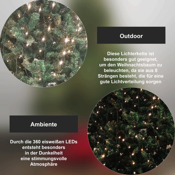 Szene mit drei beleuchteten Papiersternen mit dem Zeichen IP20 und einem Weihnachtsbaum im Hintergrund.