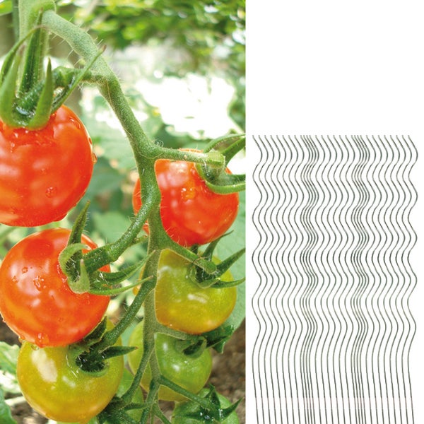 30 Tomatenspiralstäbe 110cm voll verzinkt Tomatenstab Tomaten Ranke Pflanzstab Stahl Profi Qualität Tomatenspiralstab