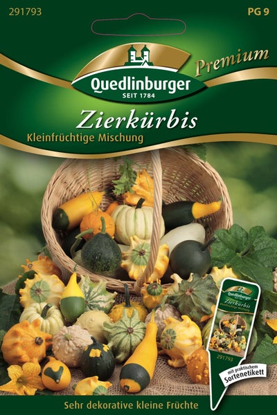 Samentüte für Zierkürbis Kleinfrüchtige Mischung von Quedlinburger. Abbildung zeigt eine Vielzahl kleiner, verschieden geformter Zierkürbisse in und vor einem Weidenkorb.