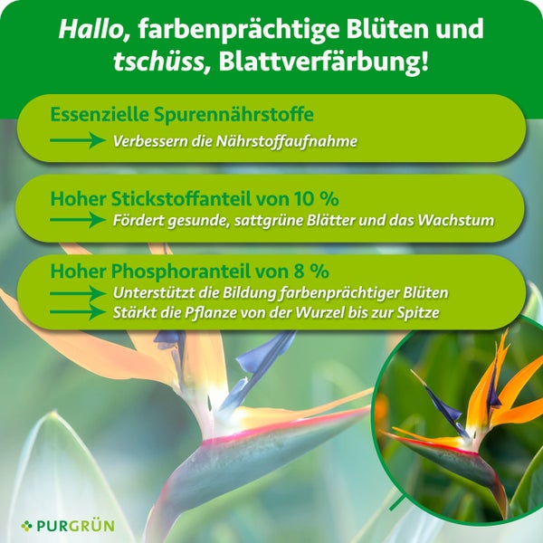 Infografik zum Purgrün Pflanzendünger mit Angaben zu Spurennährstoffen, Stickstoff und Phosphor für gesunde Pflanzen und Blüten.