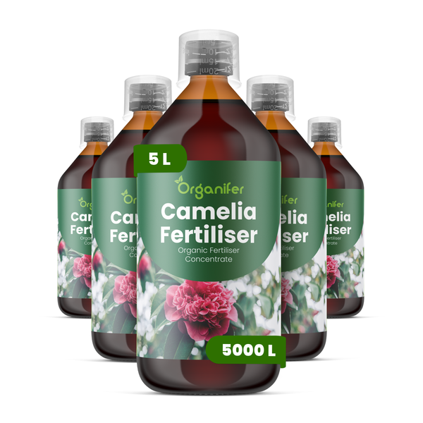 Organifer Kamelien-Dünger, Bio-Flüssigdünger Konzentrat, 3 Liter