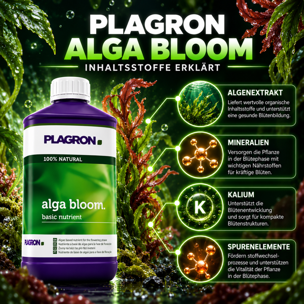 Plagron Alga Bloom Pflanzendünger für die Blütephase mit Erläuterung der Inhaltsstoffe wie Algenextrakt, Mineralien, Kalium und Spurenelementen.