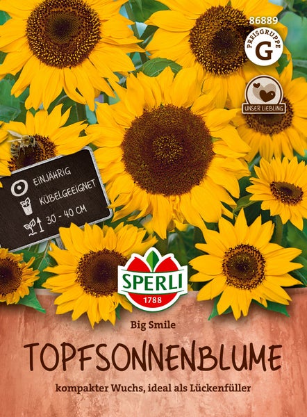 Samenpaket Sperli Topfsonnenblume Big Smile mit Informationen zu einjährigem Wuchs, Kübeleignung und Wuchshöhe von 30 bis 40 Zentimetern.