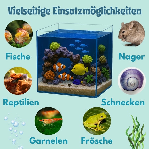 Vielseitige Einsatzmöglichkeiten für ein Aquarium mit Fischen, Nagern, Reptilien, Schnecken, Garnelen und Fröschen