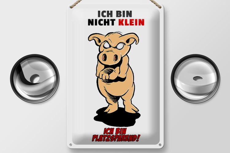 Blechschild Spruch 20x30cm Bin nicht klein bin platzsparend