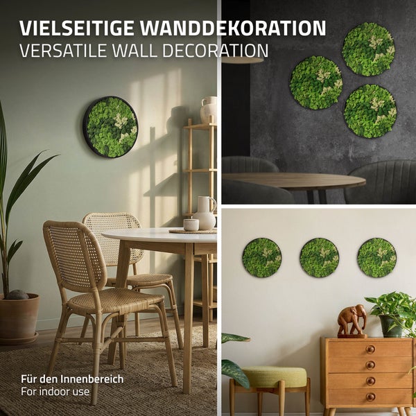 Wandbilder aus Moos in runder Form als Dekoration für den Innenbereich, präsentiert in drei verschiedenen Wohnsituationen.