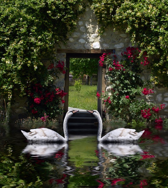 Zwei Schwäne auf einem Teich vor einer steinernen Gartentür mit Blumen
