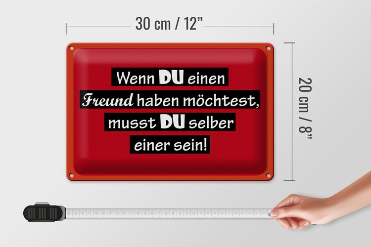 Blechschild Spruch 30x20cm wenn du einen Freund haben möchtest