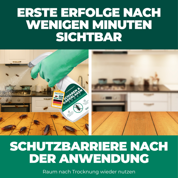 Darstellung eines Schädlingsbekämpfungssprays zur Anwendung im Innenbereich mit Wirksamkeit gegen Schaben und Kakerlaken