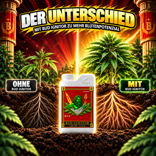Bud Ignitor Pflanzendünger in Flasche zur Förderung der Blütenbildung mit Vorher Nachher Vergleichsdarstellung für gesundes Pflanzenwachstum