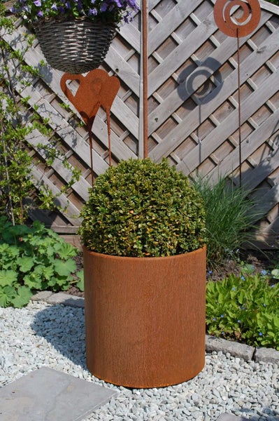Runder Pflanzkübel in Rost-Optik mit Buchsbaumkugel im Garten vor einem Holzgitterzaun.