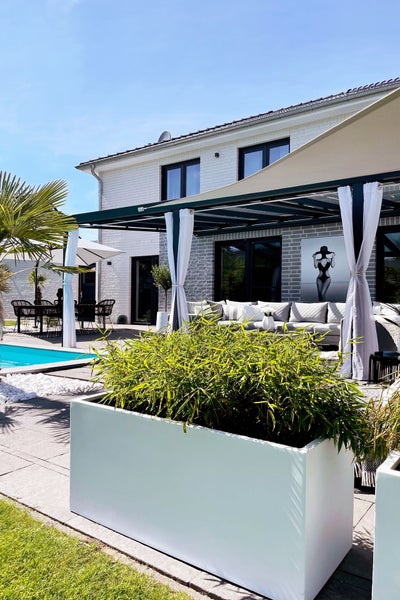 Modern gestaltete Terrasse mit Pool, großem Pflanzkübel mit Bambus, Pergola mit Vorhängen, Sonnensegel und Lounge-Möbeln vor einem Wohnhaus.