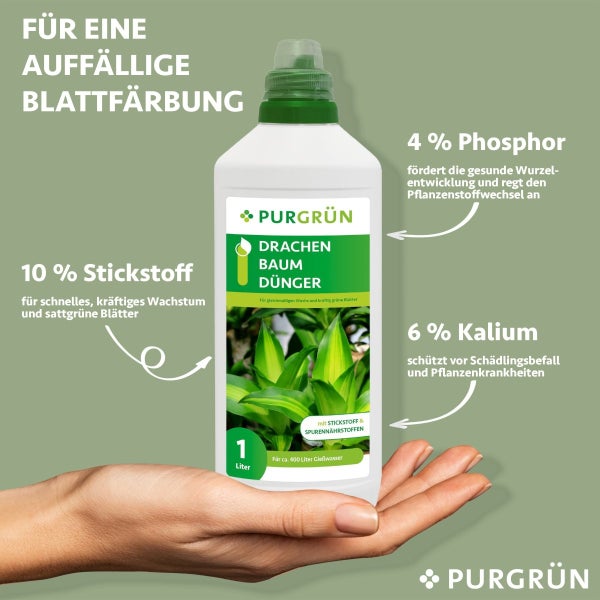 Purgrün Drachenbaum-Dünger 1 Liter