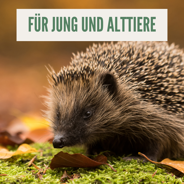 Orni Igelfutter 5kg – Getreidefrei