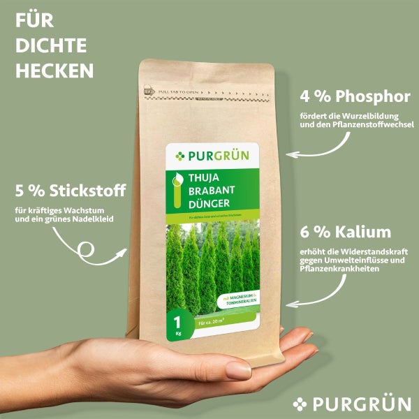 Purgrün Thuja-Brabant-Dünger 1 kg
