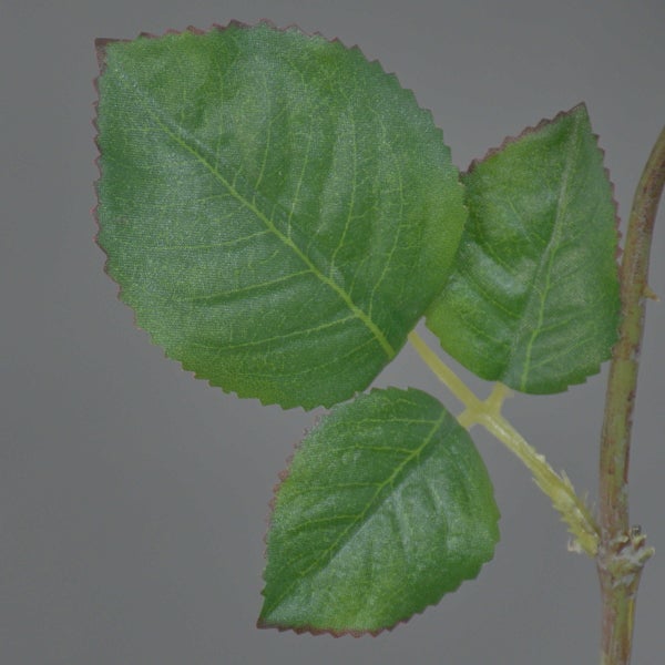 Künstliche Rose in Weiß mit langem braunem Stiel und grünen Blättern.