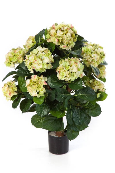 Künstliche Hortensie im schwarzen Topf mit grün-gelben Blüten und dunkelgrünen Blättern.