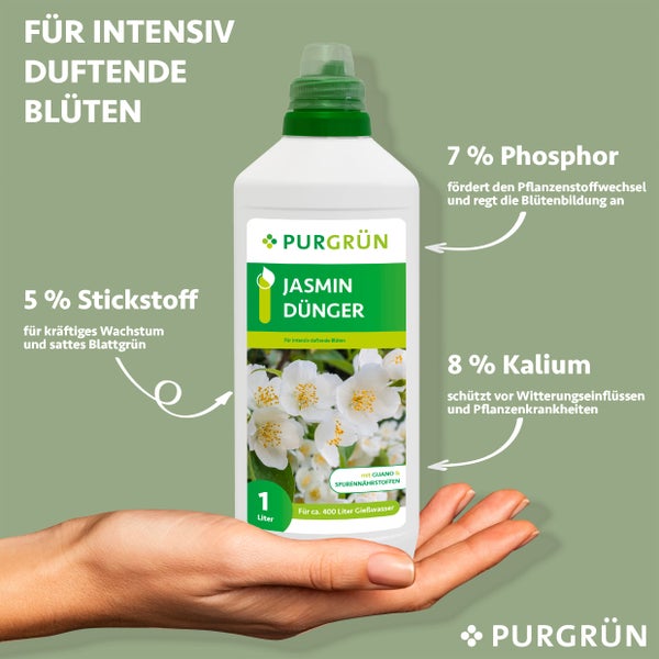 Purgrün Jasmin-Dünger 1 Liter