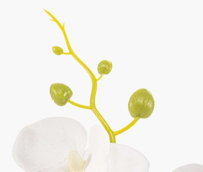 Künstliche Orchidee Phalaenopsis mit weißen Blüten und grünen Knospen am Stiel.