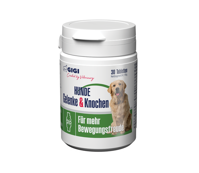 Gigi Hunde Gelenke und Knochen Tabletten Dose