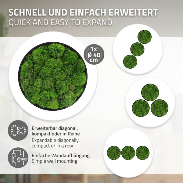 Erweiterbares Wandbild aus Moos mit rundem Rahmen, Durchmesser 40 Zentimeter, geeignet für verschiedene Anordnungen, einfache Wandmontage.