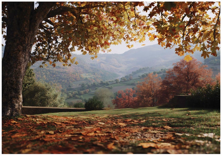 Herbstliche Landschaft mit Laub bedecktem Boden und Bäumen im Hintergrund