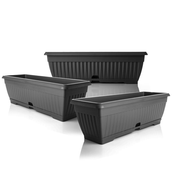 BigDean 3x Blumenkasten mit abnehmbarem Untersetzer Anthrazit 50 cm lang aus bruchsicherem Kunststoff - Balkonkasten Pflanzkasten mit Wasserspeicher für Innen- & Außenbereich geeignet - Made in Europe