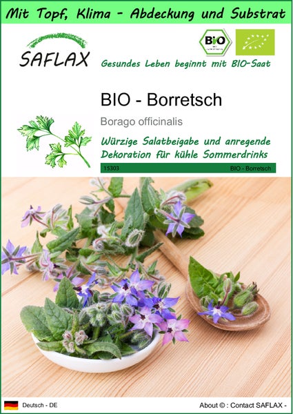 SAFLAX Garden to go - BIO - Borretsch - Borago officinalis - 40 Samen - Mit Topf, Klima - Deckel und Anzuchtsubstrat