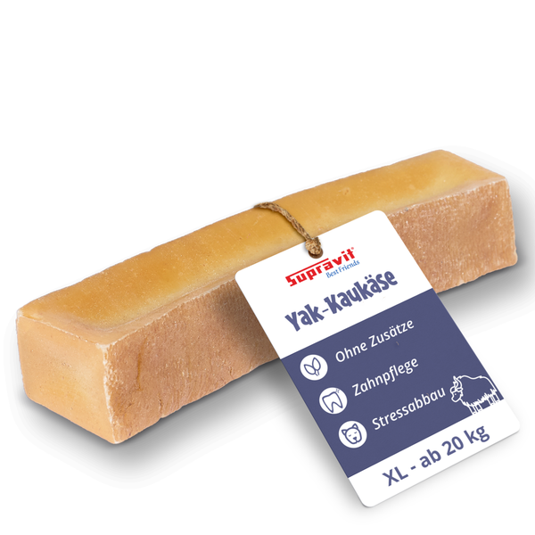 Supravit Yak-Käse Kausnack in Größe XL für Hunde ab 20 Kilogramm zur Zahnreinigung und Beschäftigung.