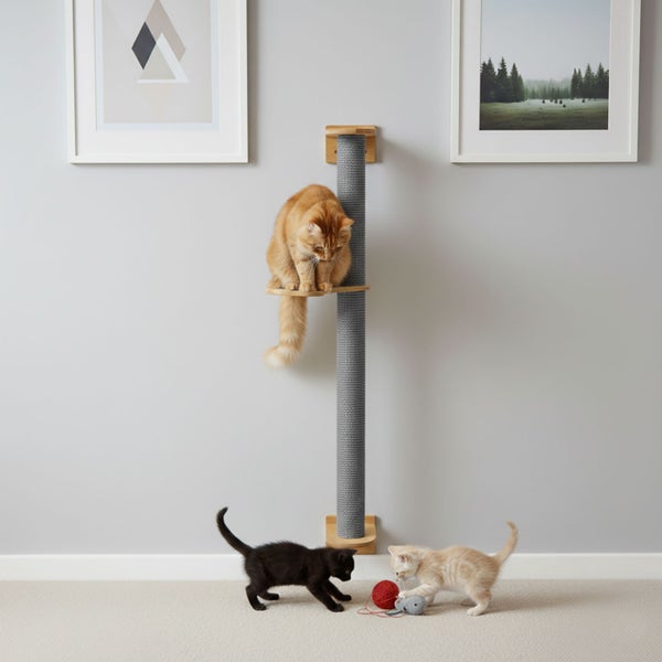 Wandkratzbaum mit Sisalstamm und Liegeplattform, montiert an einer Wand zwischen zwei Bildern, mit drei spielenden Katzen im Innenraum.