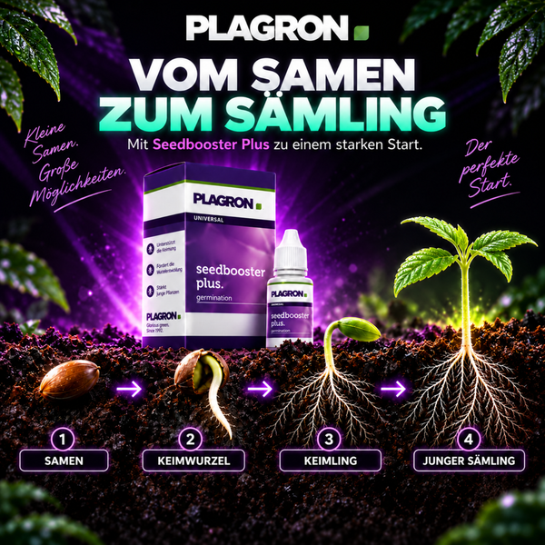 Plagron Seedbooster Plus Keimhilfe für Pflanzen in Erde, zeigt Wachstumsphasen vom Samen bis zum jungen Sämling.