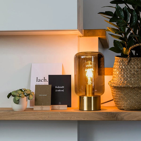 Tischleuchte mit Glaszylinder und Metallsockel auf einem Holzregal neben Zimmerpflanzen.