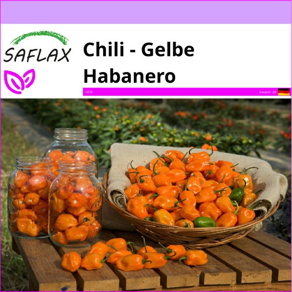 SAFLAX  - Chili - Gelbe Habanero - Capsicum chinense - 10 Samen