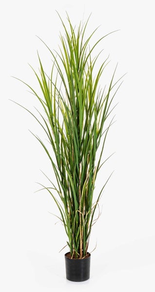 Künstliches Ziergras im schwarzen Topf mit grünen Halmen.